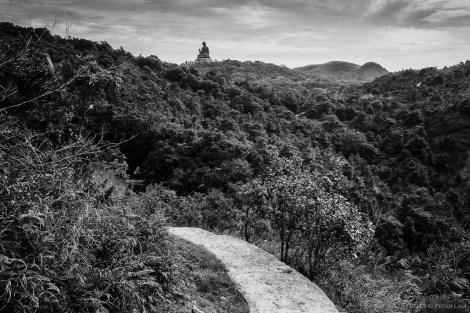 The last section is fairly even and well paved.