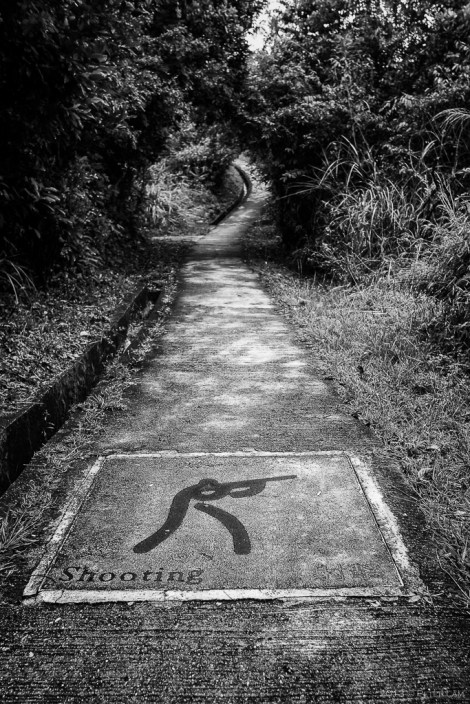 Olympic sports are depicted along the path.