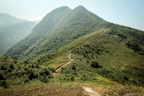 Long trail ahead... The Lotus Mountain beckons!