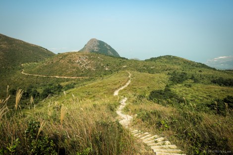 Here the trail leveled off a little.