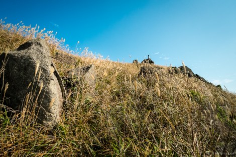 Making the climb up to the peak through the tall grass.