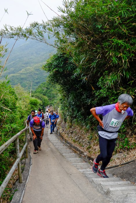 The runners were all destroyed coming up this steep hill. 