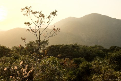 Sai Kung Country Park