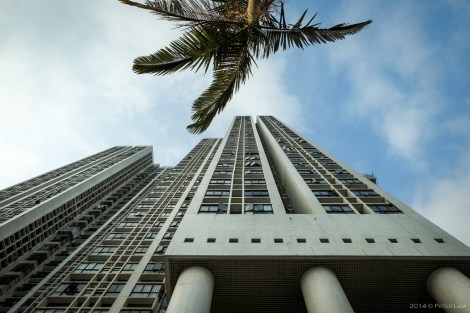 Bayview Garden apartment blocks.
