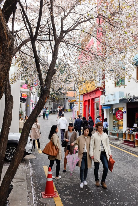 Quiet and unfettered neighbourhood great for relaxation.