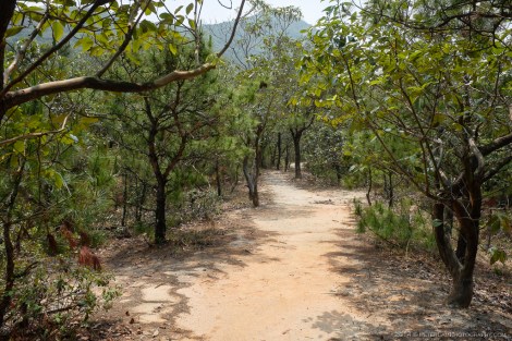 And so begins the climb.