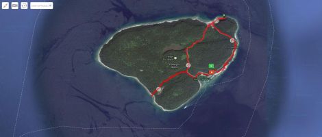 The hiking trails of Flower Pot Island.