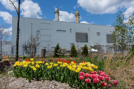 Portlands Energy Centre
