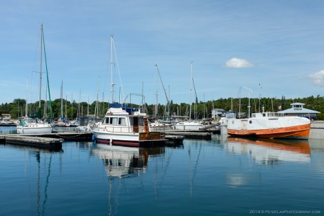 Lion's head marina image