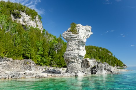 Flowerpot island