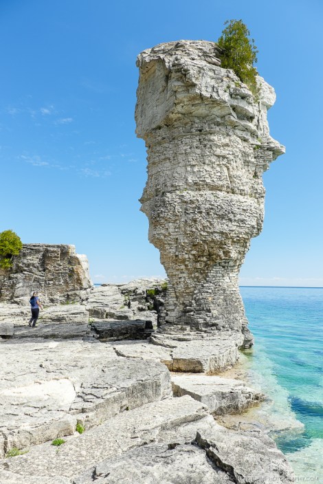 The Large Flowerpot. Did you notice the face?