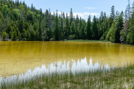 Small lake by the trail end.