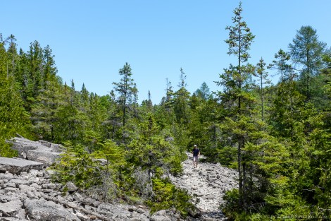 A section of rock and gravel trail leading to the west side.