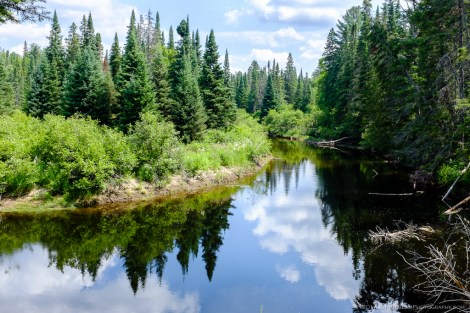 Algonquin Park
