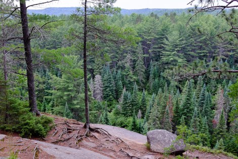 Algonquin Park