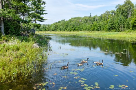 Killarney - The Crack Trail