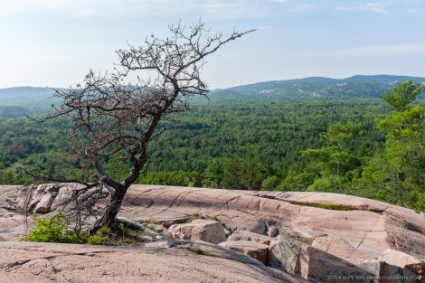 Killarney - Granite Ridge Trail