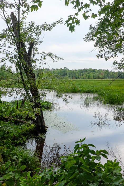 Westmeath Provincial Park