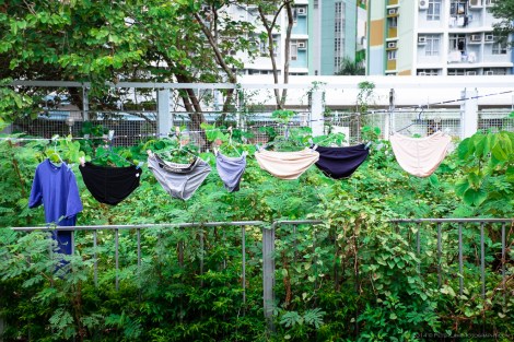 Tung O Ancient Trail