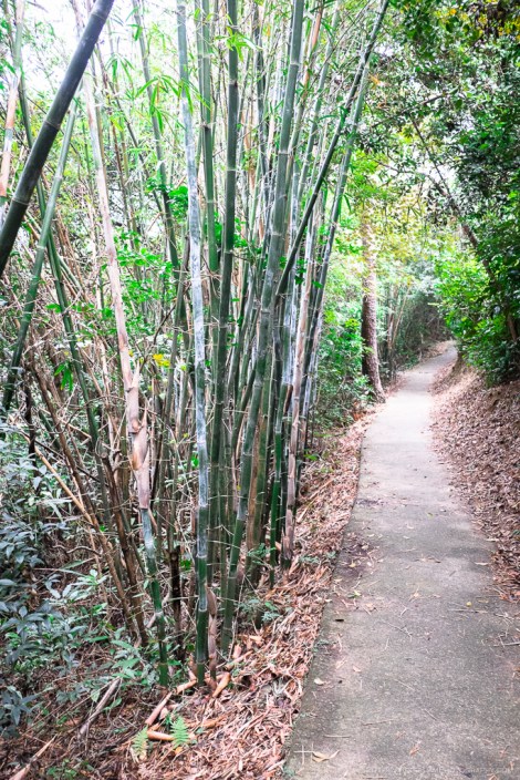 Tung O Ancient Trail