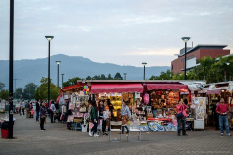 Kam Sheung Rd Flea Market