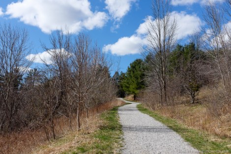 Humber River Trail
