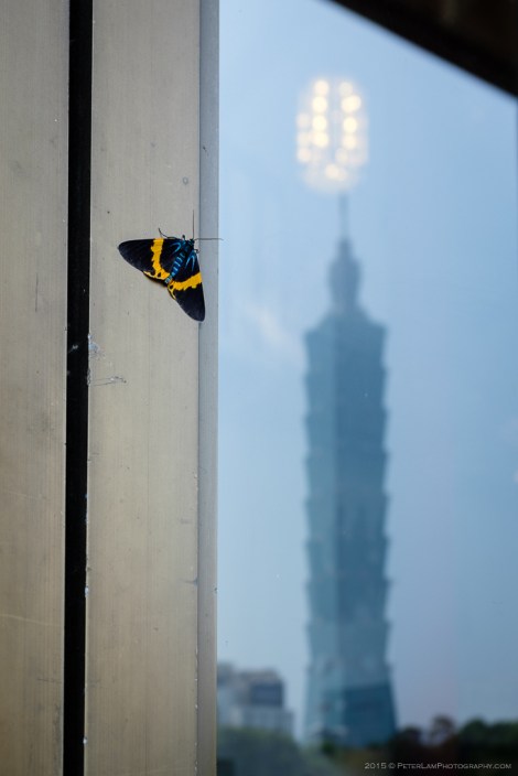 Sun Yat Sen Memorial