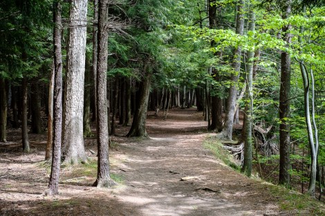 Letchworth State Park