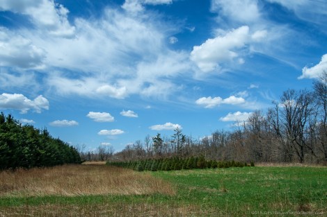 Rattlesnake Point