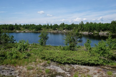 Torrance Barrens
