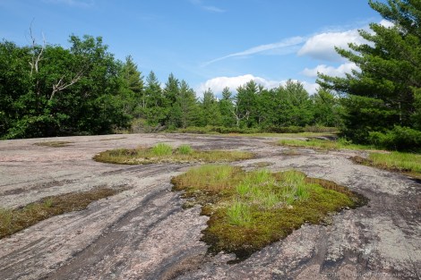 Torrance Barrens