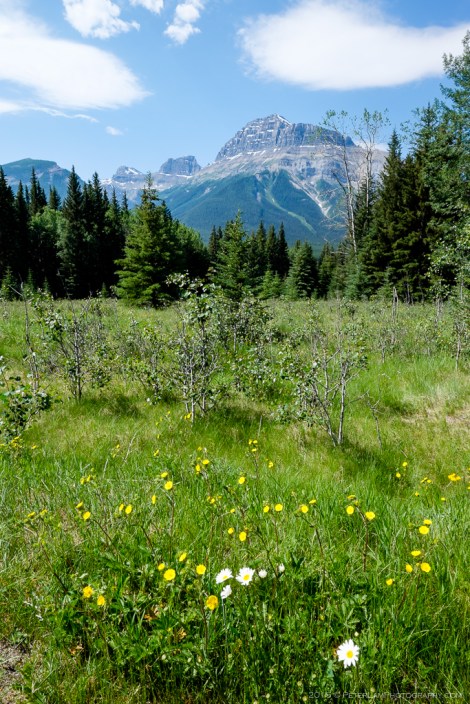 Icefields Parkway