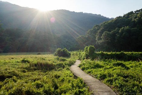 Plover Cove Country Park