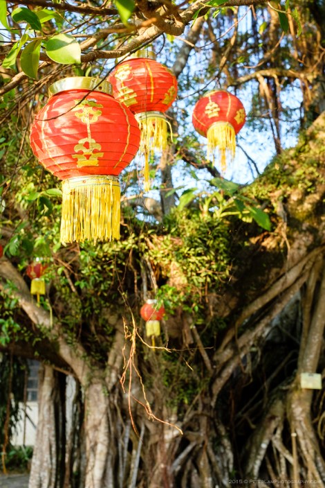 Plover Cove Country Park