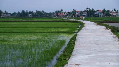 Hoi An Bicycle Tour