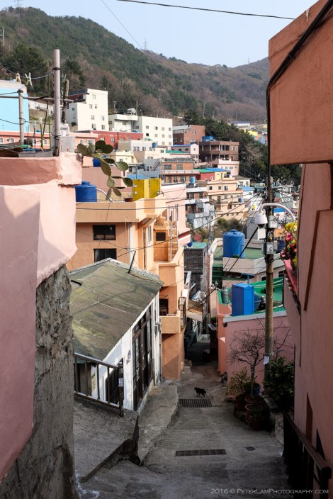 Gamcheon Culture Village