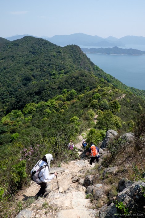 Plover Cove Country Trail