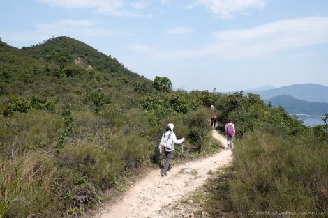 Plover Cove Country Trail
