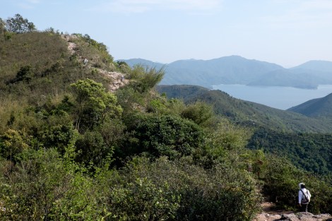 Plover Cove Country Trail