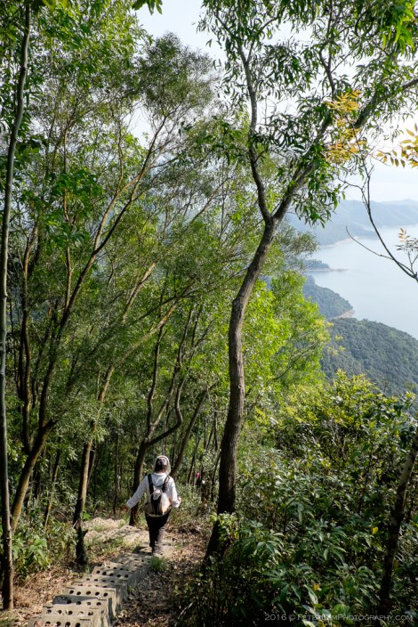 Plover Cove Country Trail