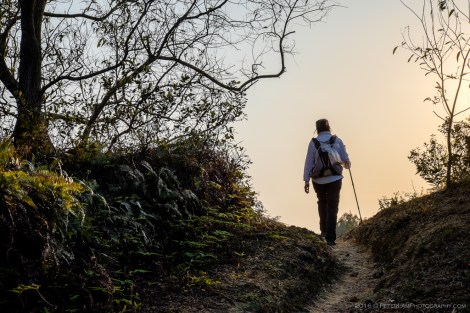 Plover Cove Country Trail