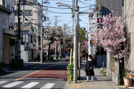 Toden Arakawa Streetcar