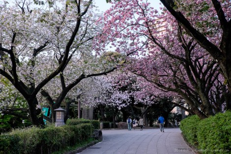 Toden Arakawa Streetcar