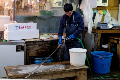 Tsukiji Market