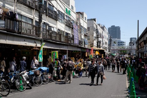 Tsukiji Market