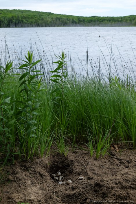 Awenda Provincial Park