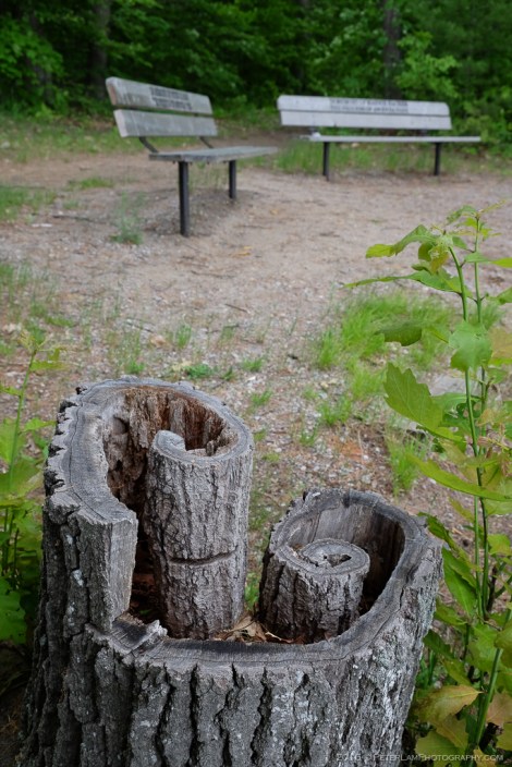 Awenda Provincial Park