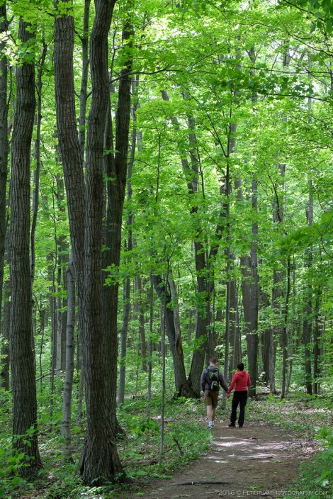 Awenda Provincial Park