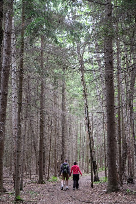 Awenda Provincial Park