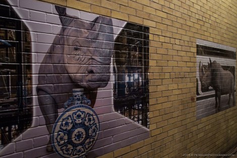 The Hearn Luminato 2016